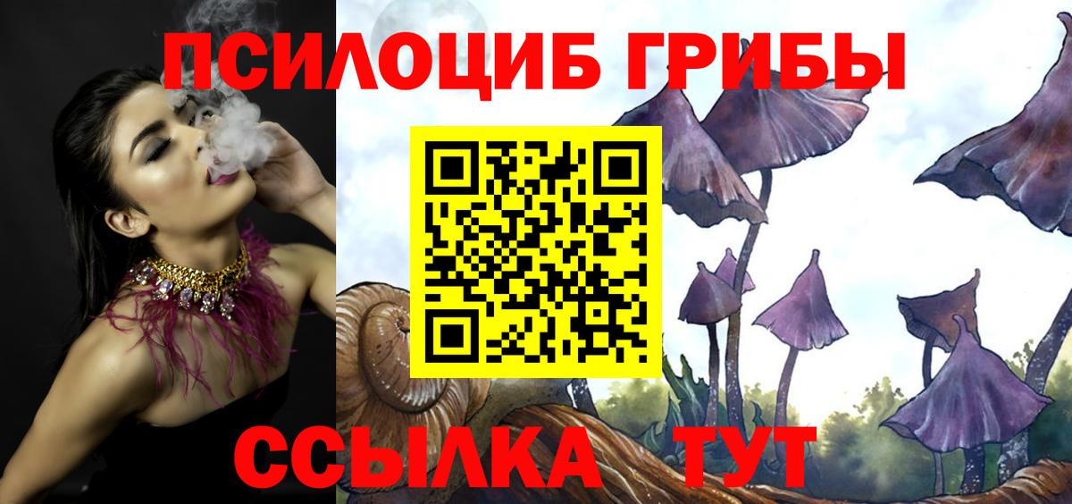Гурьевск  Псилоцибиновые грибы мухоморы  Вход с VPN 