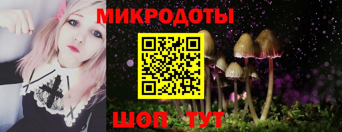 Галлюциногенные грибы мицелий Гурьевск